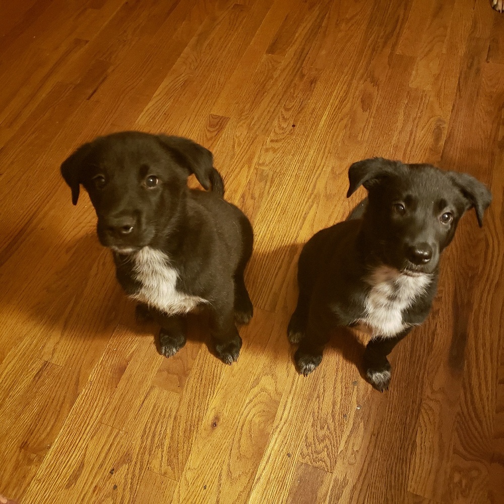 Meet your Posher, Linda